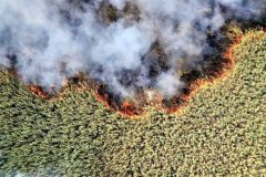 اعزام فوری هواپیمای آب‌پاش برای مهار آتش‌سوزی تالاب هورالعظیم