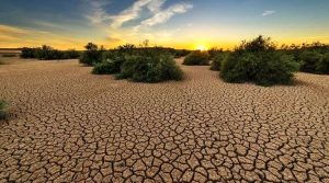 دادگاه لاهه: تغییرات اقلیمی تهدیدی فوری و وجودی برای کشورها است