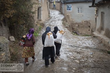 کدام استان‌ها بالاترین میزان پرداخت تسهیلات مسکن روستایی داشتند؟