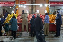 همه میادین و بازارهای میوه و تره‌بار در روز شنبه فعال است