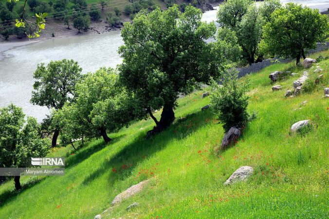 چندپاره شدن سازمان منابع طبیعی پیامدی جز تخریب سرزمین ندارد چندپاره شدن سازمان منابع طبیعی پیامدی جز تخریب سرزمین ندارد