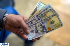 بازار ارز با اصلاح نرخ سامان می گیرد