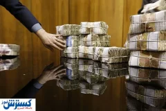 شکار فرار مالیاتی با گزارش مردم؛ ۵ میلیارد تومان به خزانه دولت برگشت