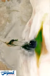 چشم ایران روشن شد