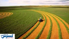 کشاورزی ایران در تنگنای آب، برق و کود | ارزآوری نابود می شود؟