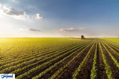 آژیر قرمز برای کشاورزی ایران به صدا درآمد