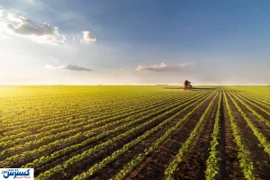 آژیر قرمز برای کشاورزی ایران به صدا درآمد آژیر قرمز برای کشاورزی ایران به صدا درآمد