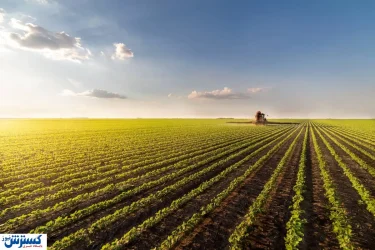 آژیر قرمز برای کشاورزی ایران به صدا درآمد