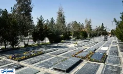 تأمین اجتماعی برای بیمه شدگان سنگ تمام گذاشت !