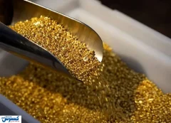 قیمت طلا عقب نشست ؛ دلار داغ شد !