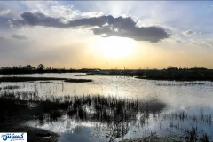 هامون مُرد ؛ سم مهلک زیر جلد یارانه !