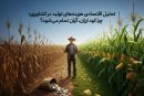 تحلیل اقتصادی هزینه‌های تولید در کشاورزی؛ چرا کود ارزان، گران تمام می‌شود؟