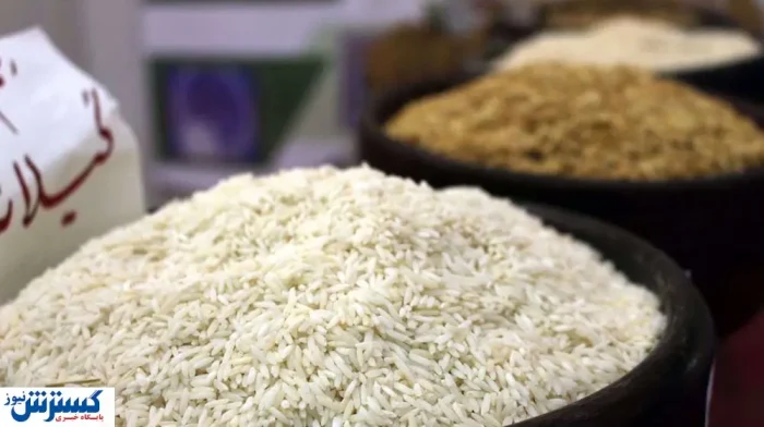 برنج درجه یک ایرانی ۱۵۵ درصد گران شد؛ کمبود کالری در سفره‌ها