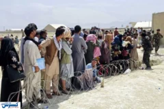 پشت پرده آمار ۸ هزار ویزای کار؛ کارگران افغانستانی بیمه تامین اجتماعی می‌شوند