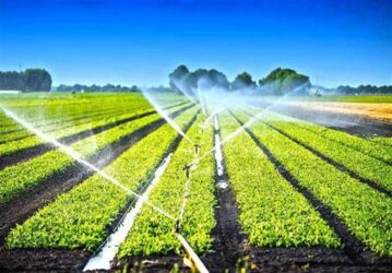 100 میلیون دلار تجهیزات آبیاری محصولات کشاورزی صادر شد