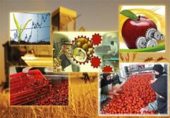 290 واحد صنایع تبدیلی در اردبیل فعال است