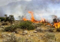 آتش بی‌توجهی گردشگران در پارک ملی گلستان/عرصه 2 هکتاری در آتش سوخت