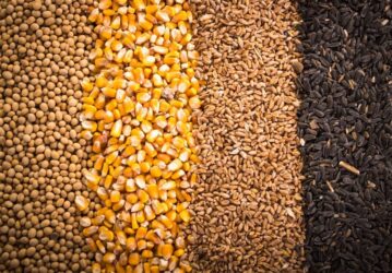 آغاز تخلیه و بارگیری نهاده های دامی تحت کلید دولت