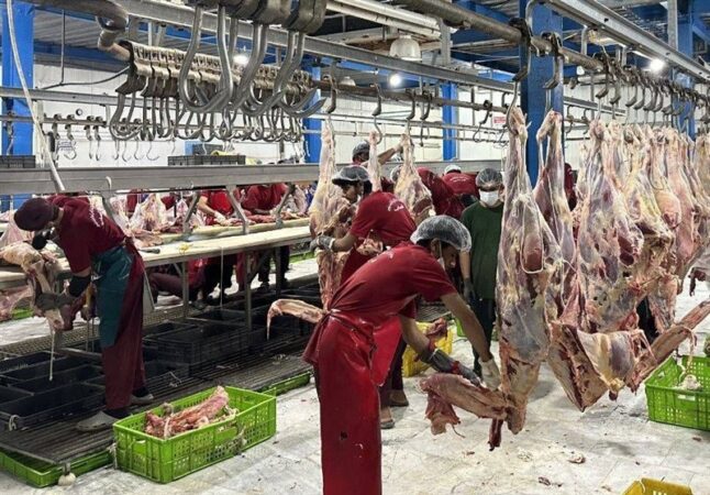 استانِ تولید، سفره‌های گران؛ چرا مرغ و گوشت در کردستان ارزان نمی‌شود؟