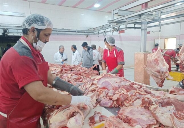افزایش واردات گوشت قرمز از مرز پاکستان/ کنترل کیفیت تشدید شد