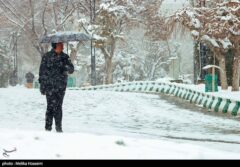 بالاخره تبریز سفیدپوش شد؛ پایان چشم‌انتظاری مردم با نخستین برف زمستانی