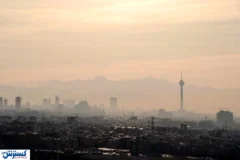 برای خانه خود نفس بخرید ؛ نجات از آلودگی با ۵ گیاه آپارتمانی