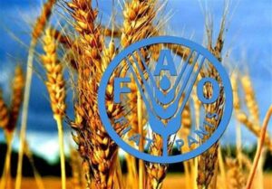 برنامه پزشکان خاک ایران مورد تحسین فائو قرار گرفت