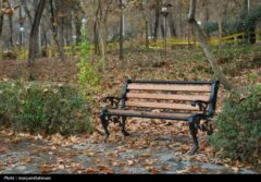 بهکده رضوی با 21.7 میلی‌متر پربارش‌ترین نقطه خراسان شمالی شد