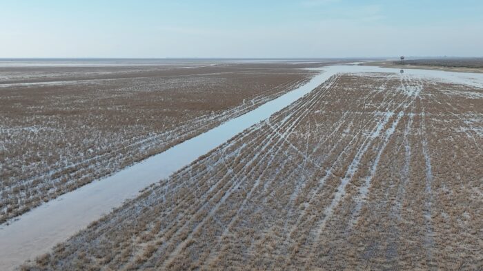 تالاب میانکاله در معرض خطر آلودگی