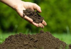 تحول در کشاورزی/ علل فرسایش خاک خراسان شمالی روی میز است