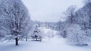 تداوم بارش باران و برف در اکثر مناطق کشور 