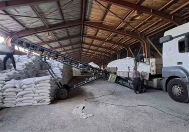 توزیع گسترده کود اوره؛ گامی محکم در حمایت از کشاورزان استان سمنان