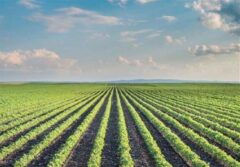 ثبت 56 هزار درخواست مجوز کسب‌وکار الکترونیکی در مازندران