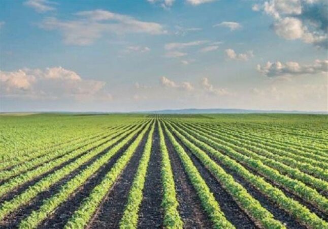 ثبت 56 هزار درخواست مجوز کسب‌وکار الکترونیکی در مازندران