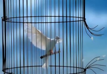 دادستان پاکدشت: آزادی 22 زندانی و مرخصی ویژه یلدا و میلاد حضرت زهرا(س)