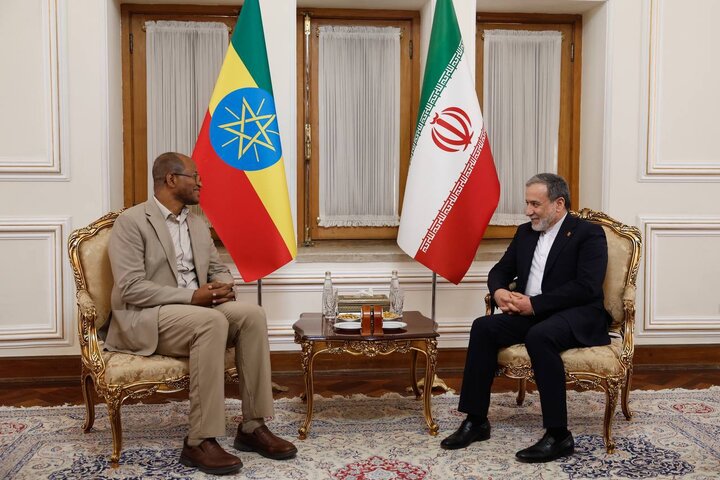 دیدار و گفتگوی رئیس مجلس نمایندگان اتیوپی با عراقچی دیدار و گفتگوی رئیس مجلس نمایندگان اتیوپی با عراقچی