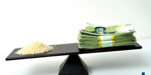 راه‌حل کنترل قیمت برنج صرفاً تخصیص یا حذف ارز ترجیحی نیست