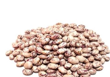 رشد 27 برابری قیمت لوبیا چیتی در 6 سال