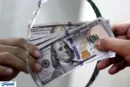 صعود قیمت دلار به سقوط برمی گردد؟ | بازار ارز پیش بینی شد
