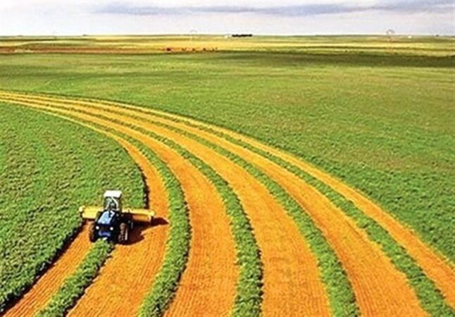 ضوابط کشت فراسرزمینی اعلام شد