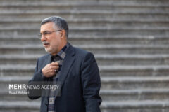 ظفرقندی: افرادی که جزو گروه‌های پرخطر هستند، واکسن آنفولانزا بزنند