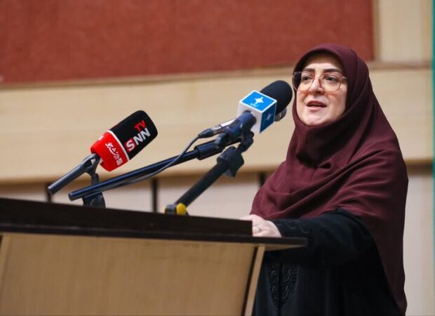 قانون تثبیت قیمت‌ها ریشه ناترازی ۳۰ هزار مگاواتی برق در کشور است