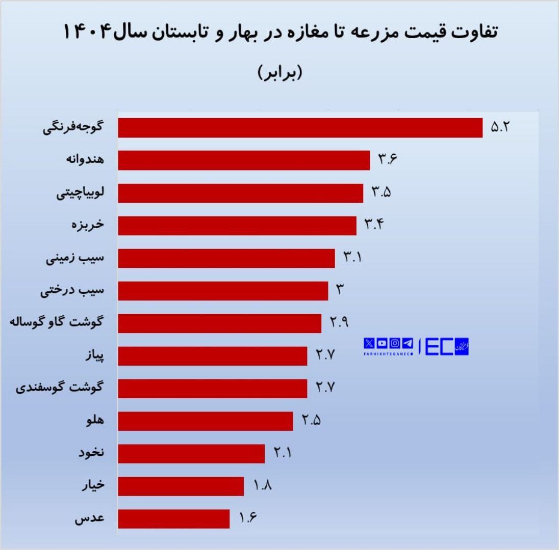 ماجرای فاصله ۳ تا ۵ برابری قیمت  لوبیا بین مزرعه تا مغازه چیست؟