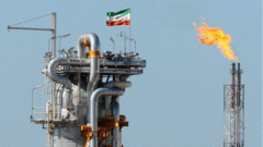 مجوز ویژه پایان سال/ صادرات فرآورده‌ها با شروط عجیب سه وزارتخانه