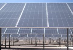 مزیت‌های سهامدار شدن مددجویان کمیته امداد در نیروگاه‌های خورشیدی 10 مگاواتی