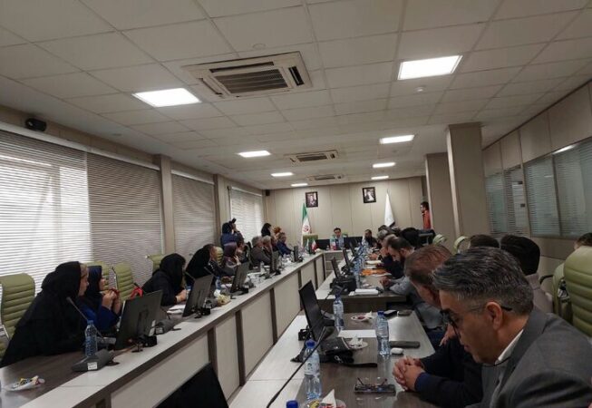 مقوا در بن‌بست ارزی| ثبت‌سفارش کنسرسیومی برای مهار بازار