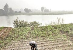 نقش تاریخی نیل در کشاورزی مصر و پیامدهای سدسازی