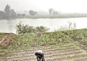 نقش تاریخی نیل در کشاورزی مصر و پیامدهای سدسازی