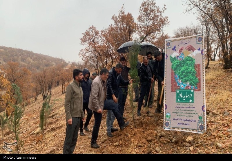 نهالکاری در سایه مادر در یاسوج برگزار شد؛ تولید 800 هزار اصله نهال+تصاویر اخبار استان کهگیلویه و بویراحمد , سازمان منابع طبیعی ,