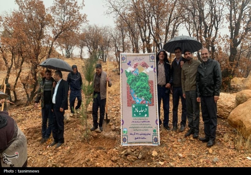 نهالکاری در سایه مادر در یاسوج برگزار شد؛ تولید 800 هزار اصله نهال+تصاویر اخبار استان کهگیلویه و بویراحمد , سازمان منابع طبیعی ,